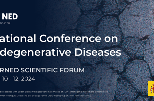 International Conference on Neurodegenerative Diseases 2024