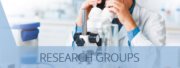 Research Groups