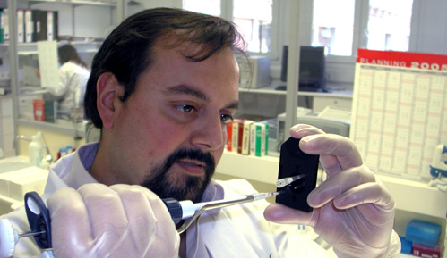 Identifican una nueva estrategia para combatir uno de los linfomas más agresivos