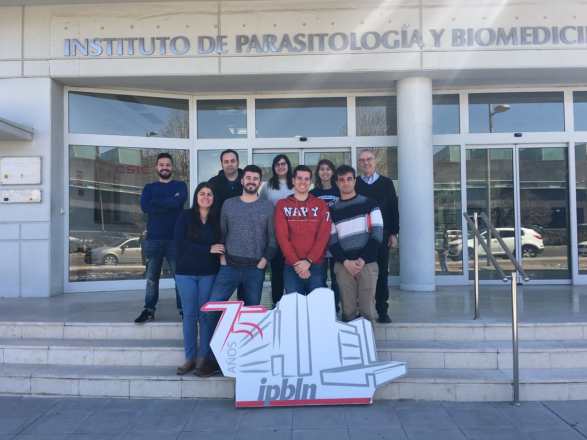 Descubren cómo se ‘disfraza’ una célula tumoral de una ‘vascular’ en los tipos de cáncer más agresivos