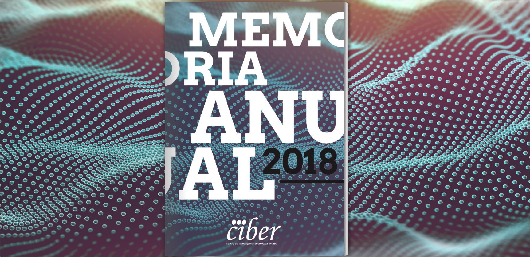 Memoria del Consorcio CIBER 2018
