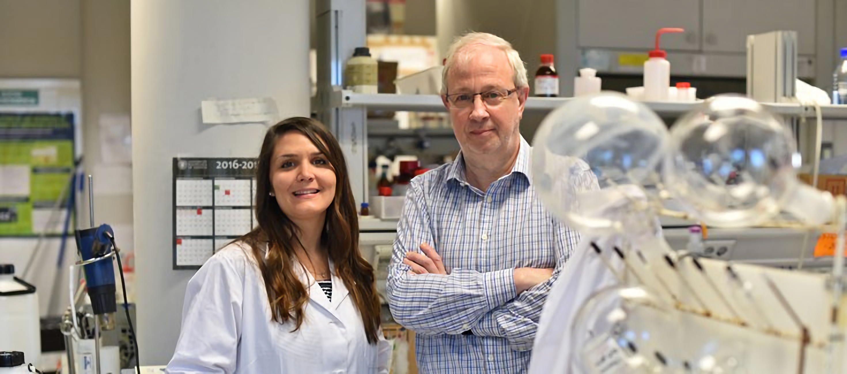 Prueban un nuevo fármaco que elimina las células senescentes y reduce la toxicidad en el tratamiento del cáncer