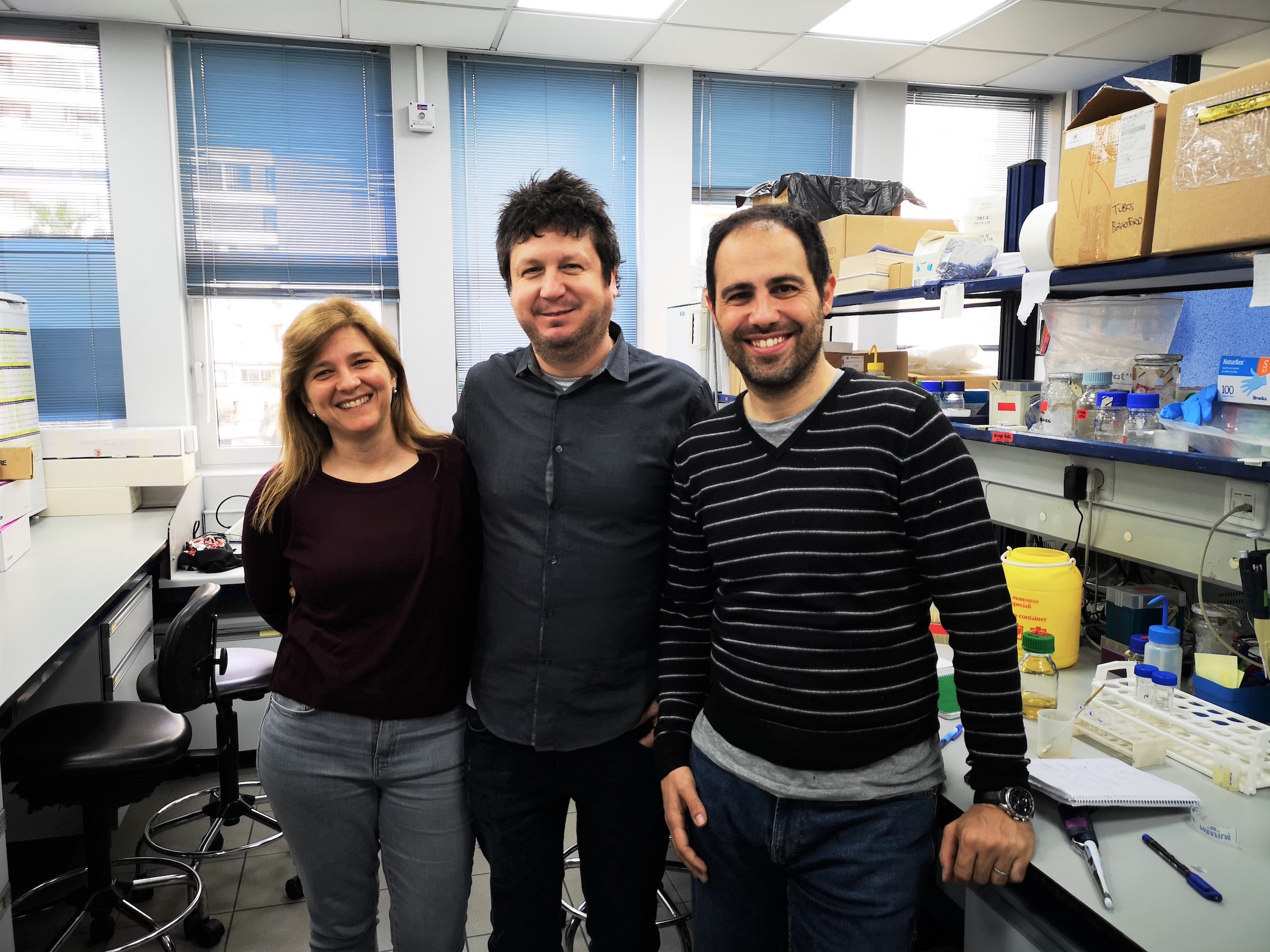 Evalúan la eficacia de terapia génica con nanoanticuerpos de camélidos para la enfermedad de Huntington