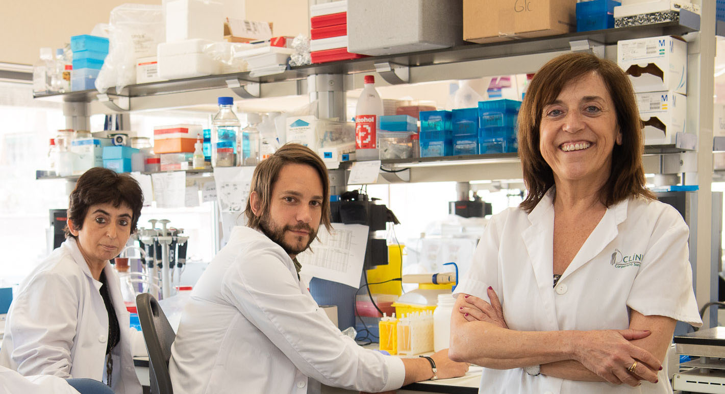 Descubren un nuevo mecanismo por el que el ejercicio físico mejora la sensibilidad a la insulina