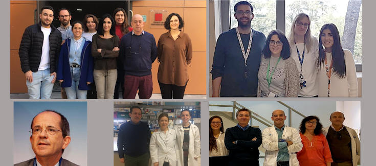 Identifican una nueva variante genética responsable del defecto hematológico congénito de COX-1