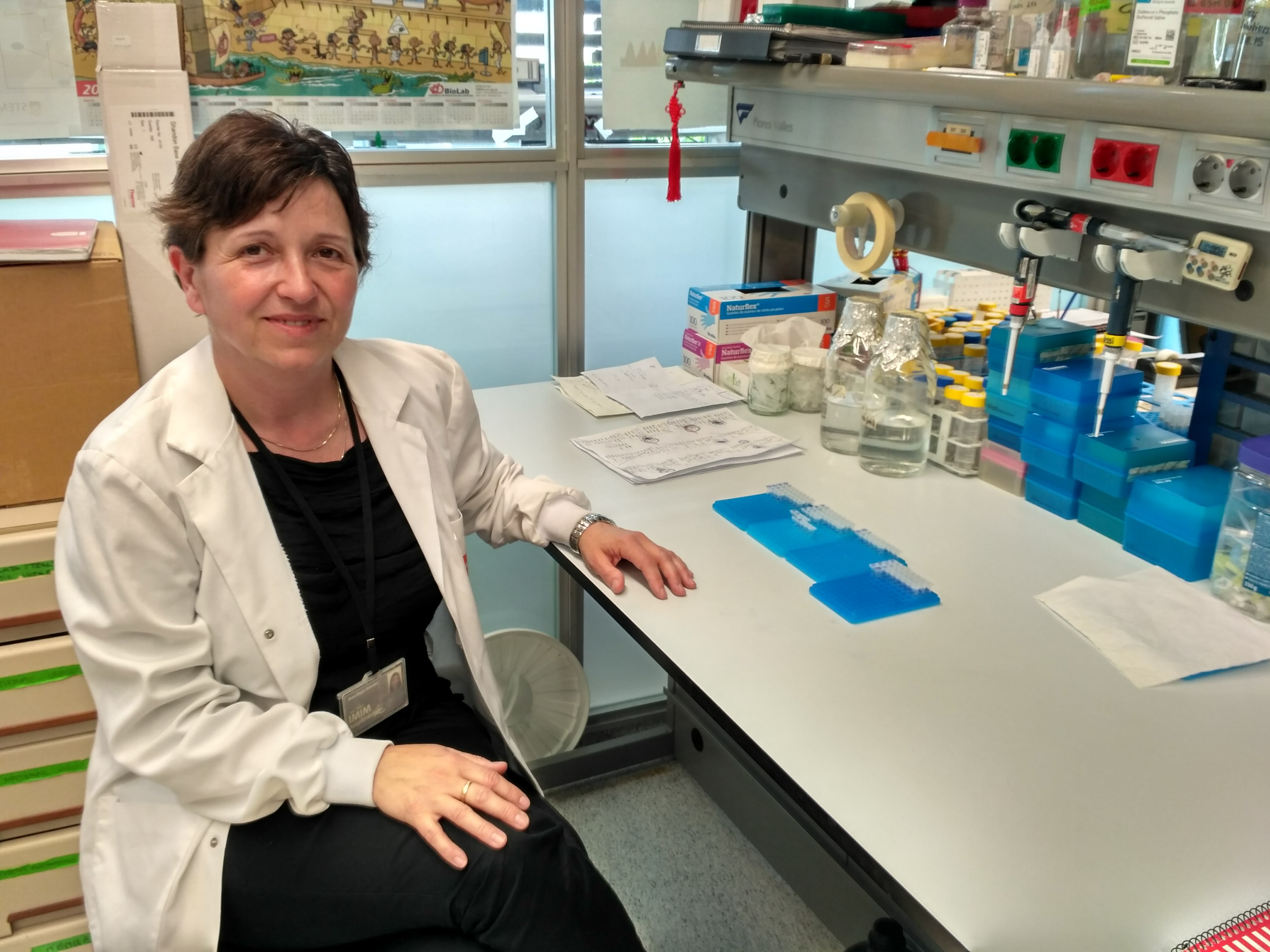 Las células resistentes a tratamiento ya se encuentran presentes en el momento del primer diagnóstico de la leucemia en adultos