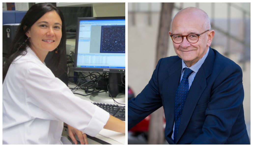 Nueva diana terapéutica para un envejecimiento satisfactorio