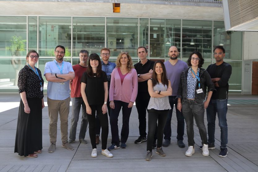 La estimulación de la formación de células beta pancreáticas en ratones abre la puerta a futuros tratamientos para la diabetes