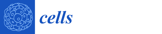 La deficiencia parcial en IGF-1 aumenta la sensibilidad al daño por ruido