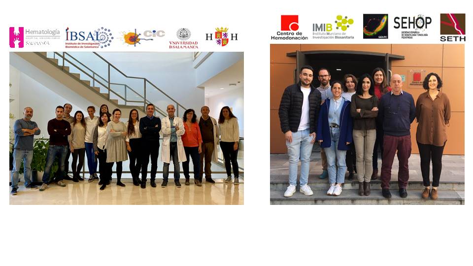 La secuenciación de alto rendimiento permite obtener el diagnóstico genético del 70% de los pacientes con trastornos plaquetarios congénitos