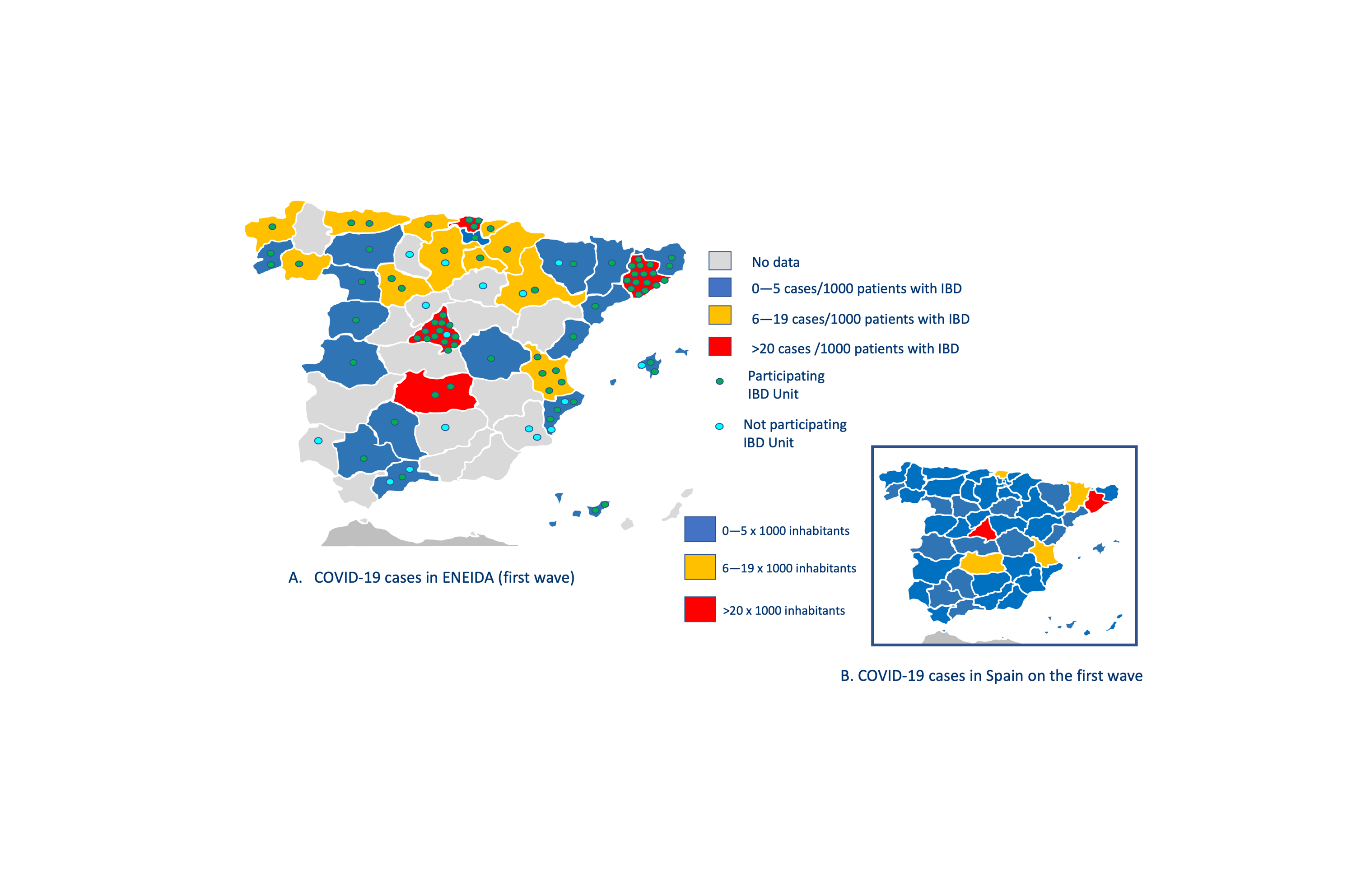 Un estudio analiza la relación entre la COVID-19 y la enfermedad inflamatoria intestinal en España