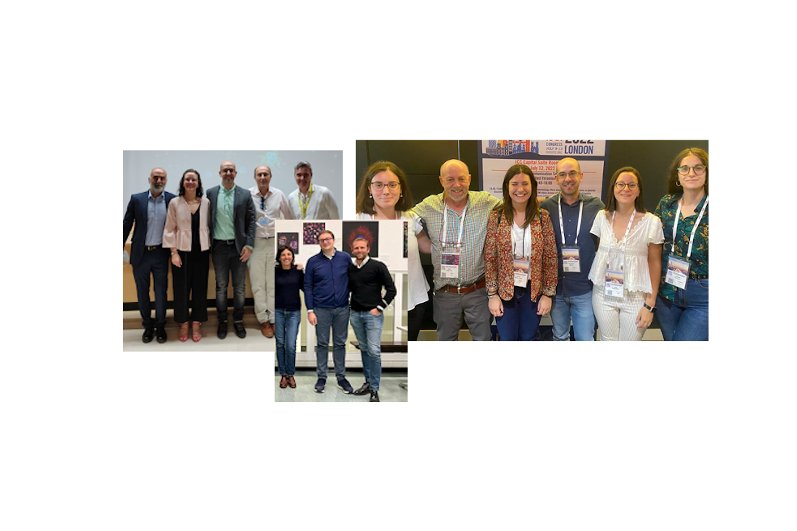 Descubren los mecanismos causantes de la trombocitopenia hereditaria relacionada con GALE