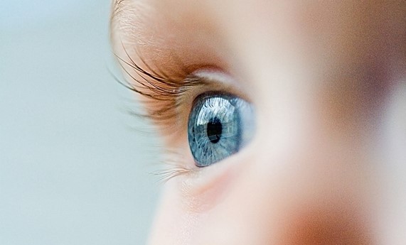 La retina, una ventana al síndrome de Dravet