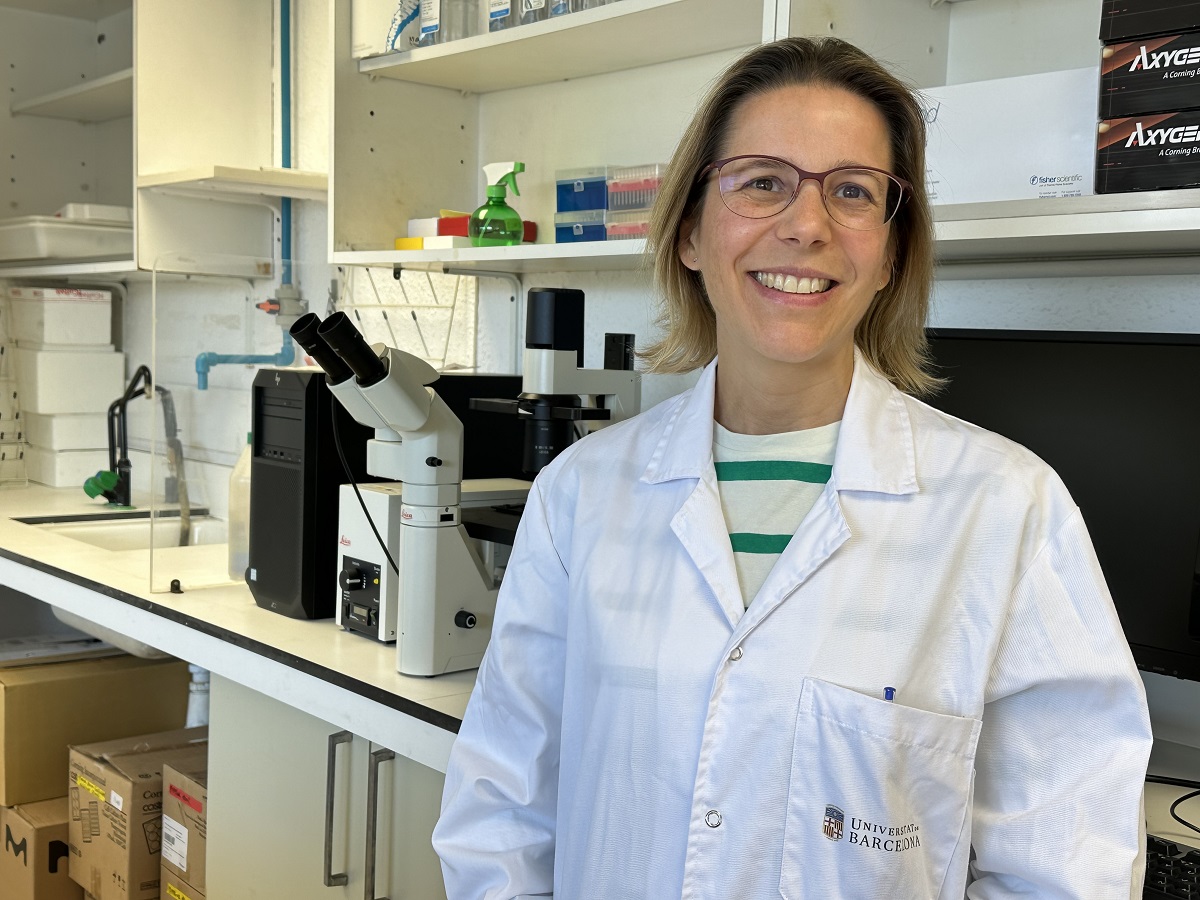 Diseñan una revolucionaria estrategia para combatir la obesidad mediante terapia génica