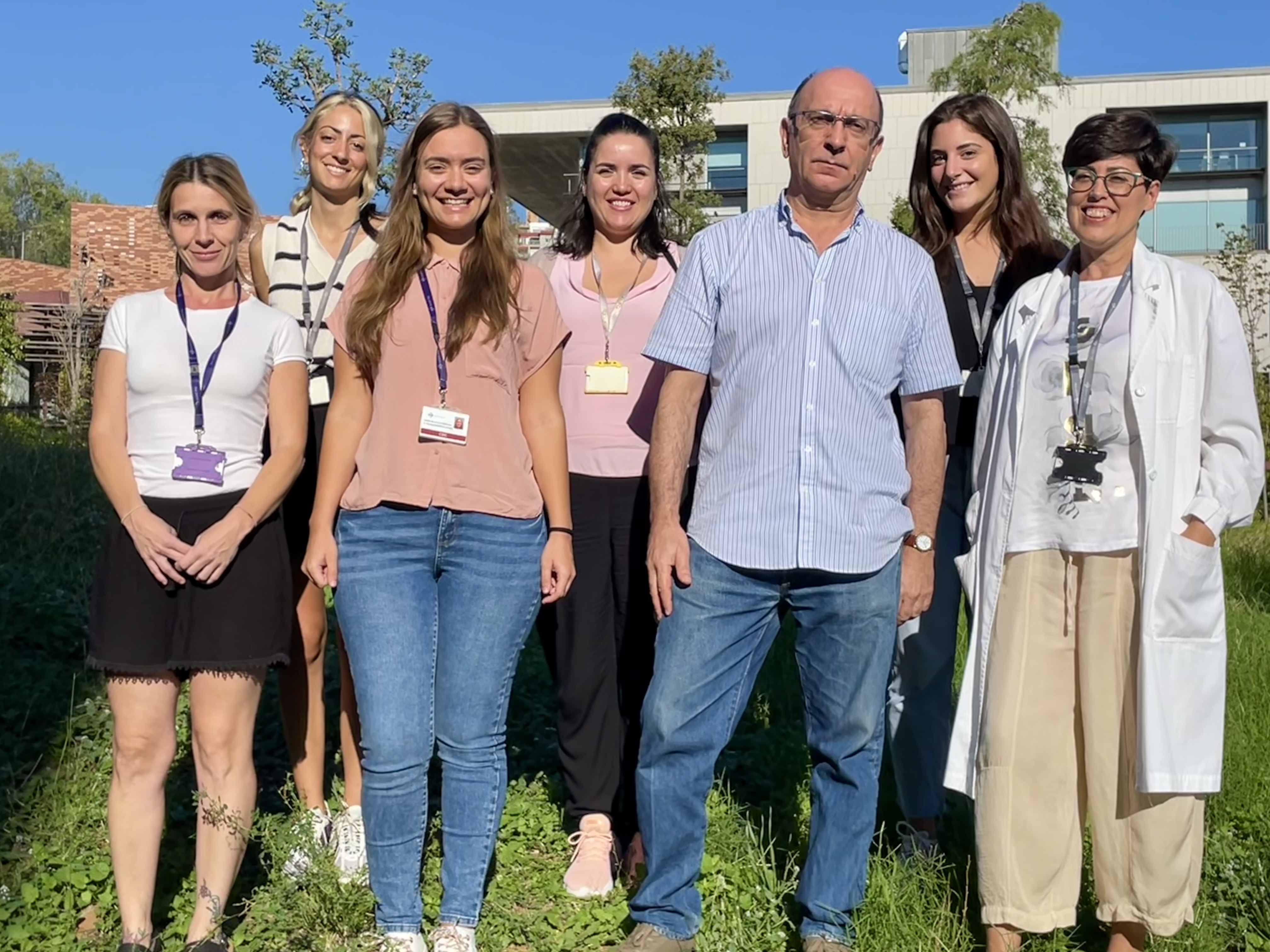 Identifican un proceso clave en el desarrollo de la calcificación vascular