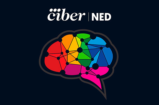 CIBERNED WORKSHOPS JOVENES INVESTIGADORES