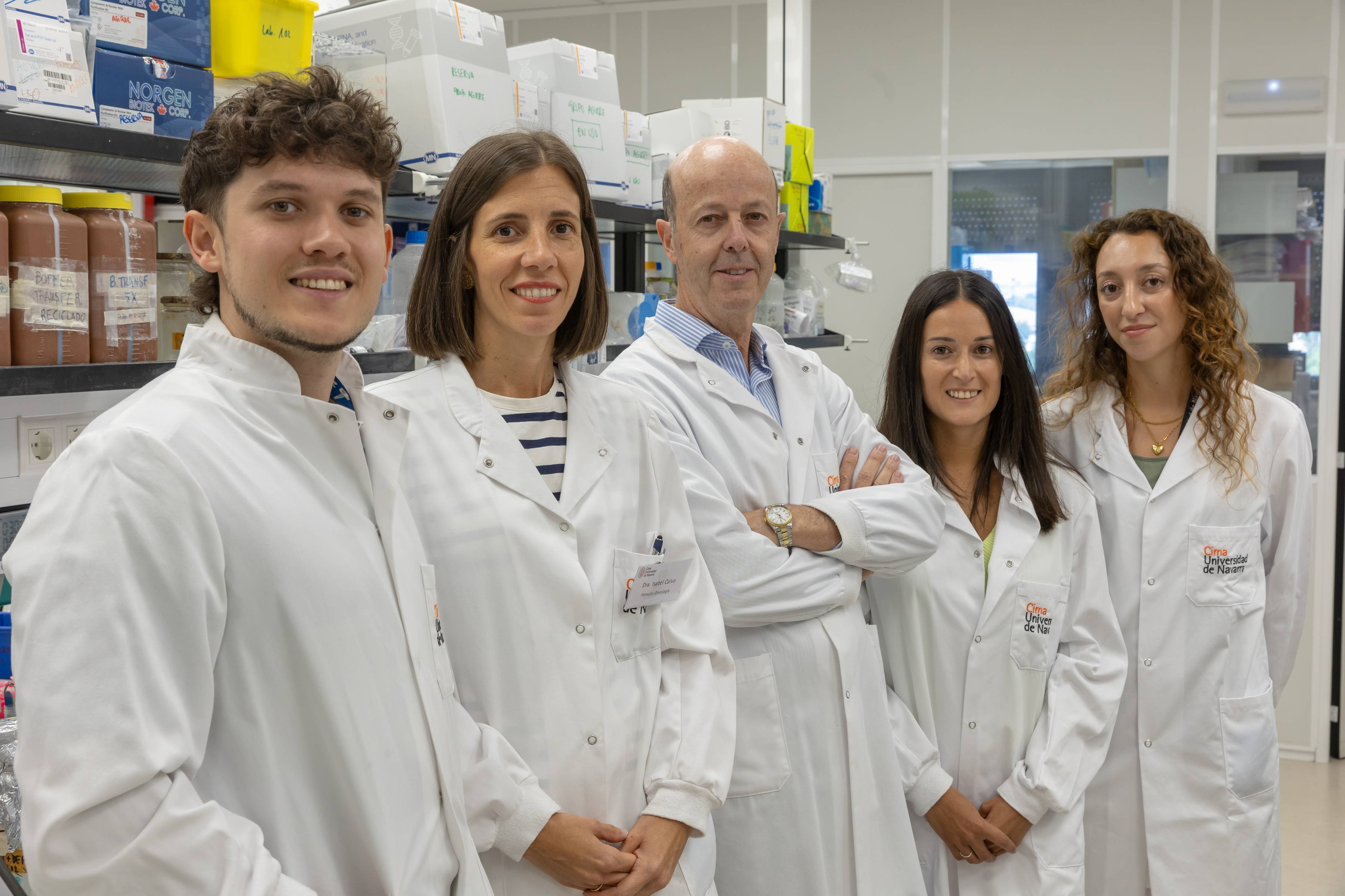 Identifican cambios en el entorno de la médula ósea que podrían abrir nuevas vías para tratar el mieloma múltiple