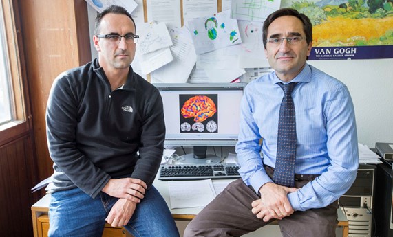Variaciones genéticas se asocian a cambios en la estructura del cerebro humano Variaciones genéticas se asocian a cambios en la estructura del cerebro humano