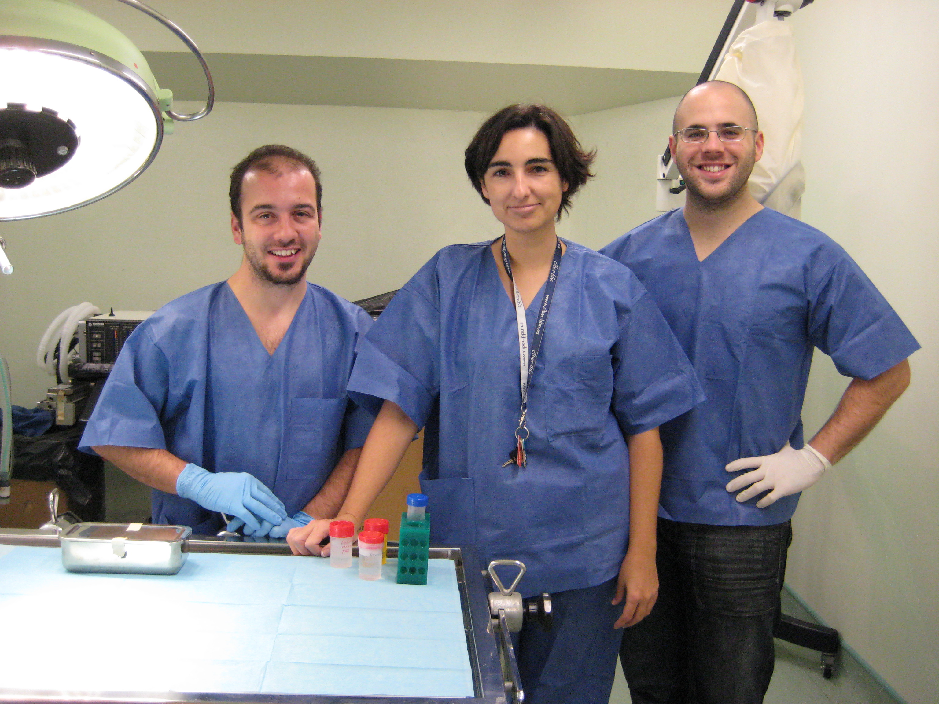 Vidrios biológicos en 3D para regenerar huesos