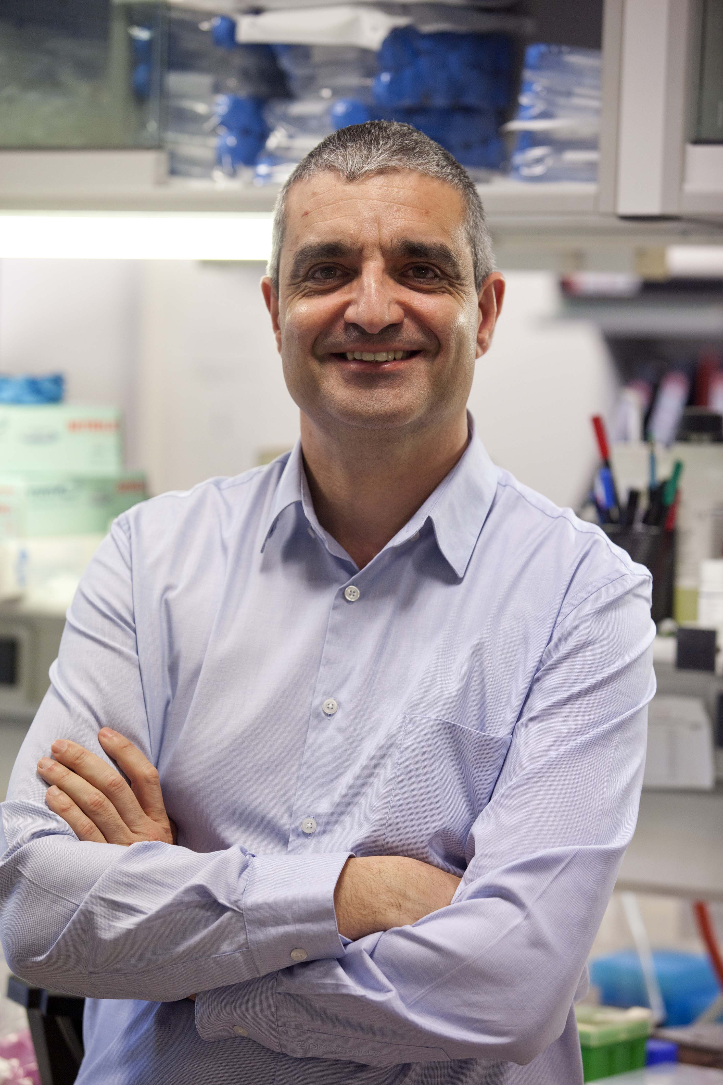 Identificados varios genes que están alterados frecuentemente en los linfomas de células T periféricos de “origen poco claro”