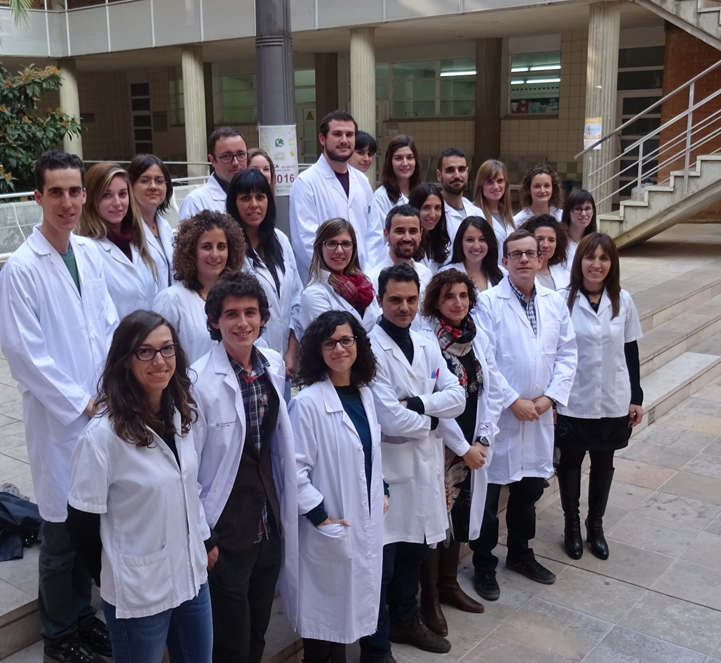 Consumir grasas saturadas y de origen animal aumenta el riesgo de sufrir diabetes tipo 2