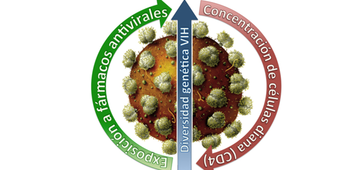 Investigan cómo muta el VIH en niños para conseguir nuevos antivirales y tratamientos personalizados