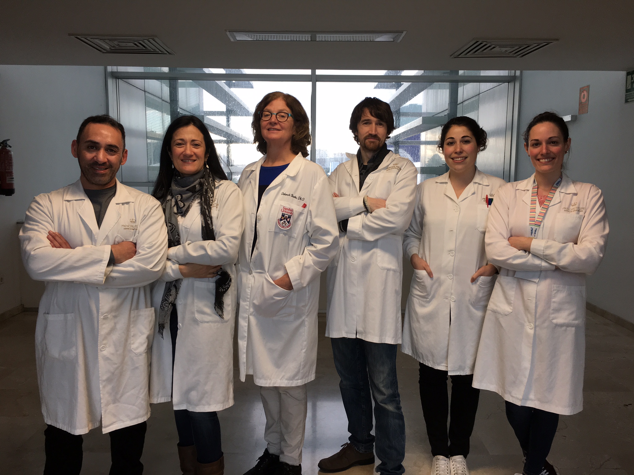 CIPF e INCLIVA mejoran su investigación traslacional en diabetes gracias al CIBERDEM